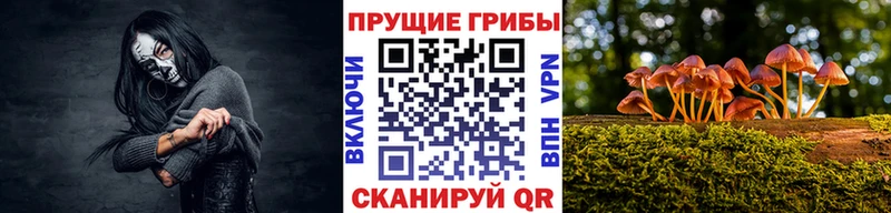 Галлюциногенные грибы мицелий купить закладку Каменка