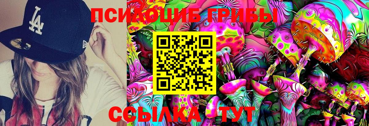 Псилоцибиновые грибы прущие грибы  Вход с VPN  Галлюциногенные грибы Cubensis  Каменка 
