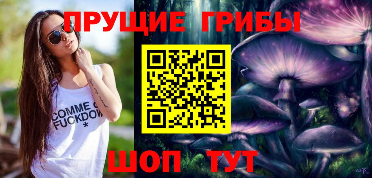 Галлюциногенные грибы Psilocybine cubensis Каменка